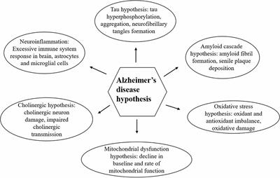 Potential of Sorghum Polyphenols to Prevent and Treat Alzheimer’s Disease: A Review Article